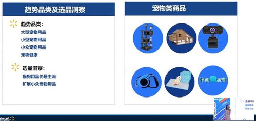 沃尔玛从0到1 入驻流程、运营指南与热卖产品全解析